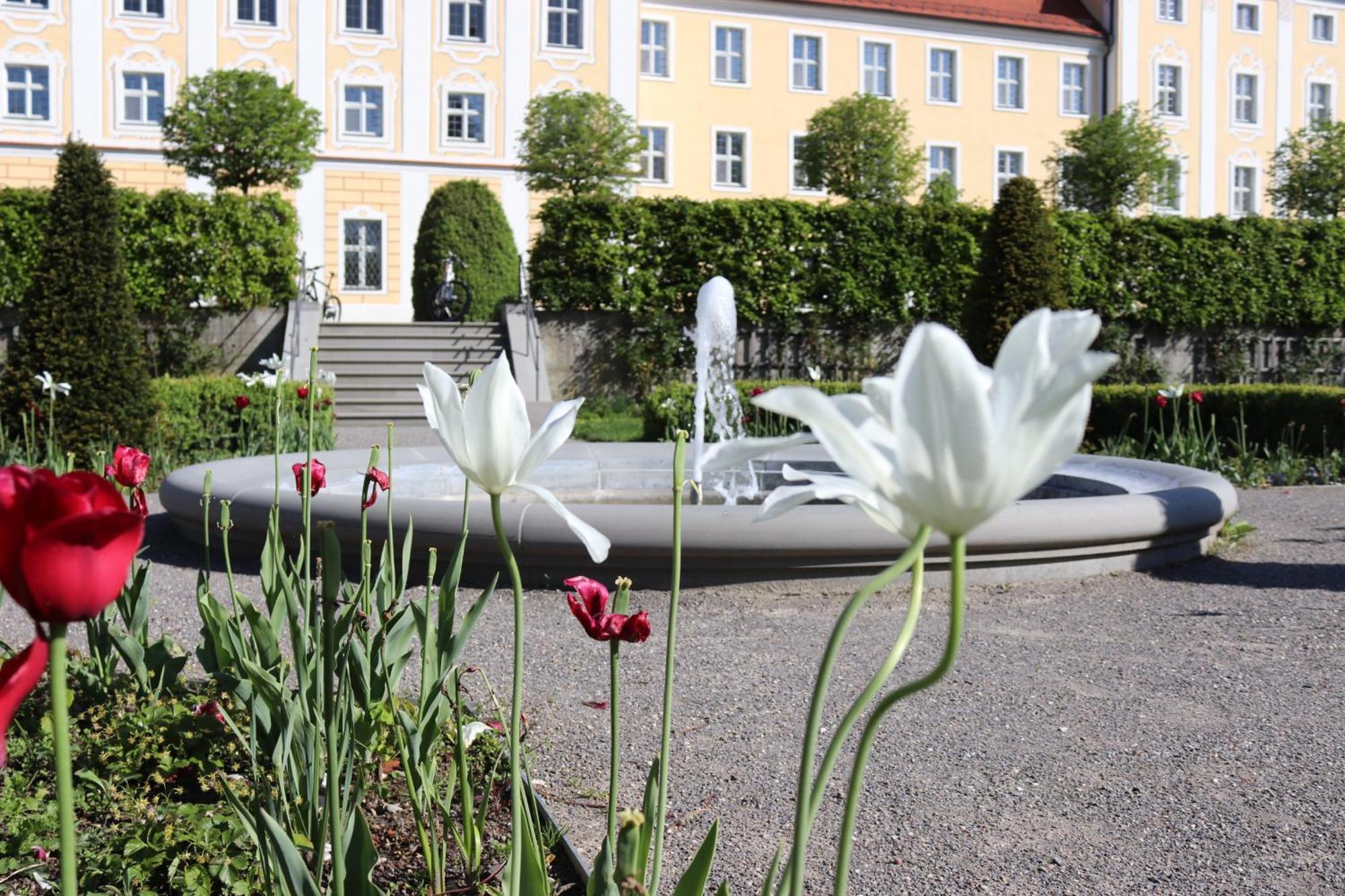 Klostergasthof Roggenburg Extérieur photo