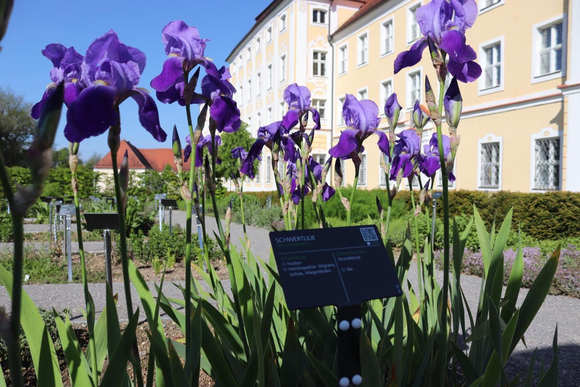 Klostergasthof Roggenburg Extérieur photo